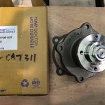 WP-cat311 01