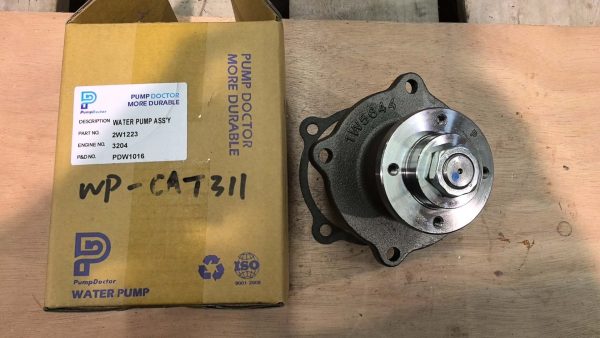 WP-cat311 01
