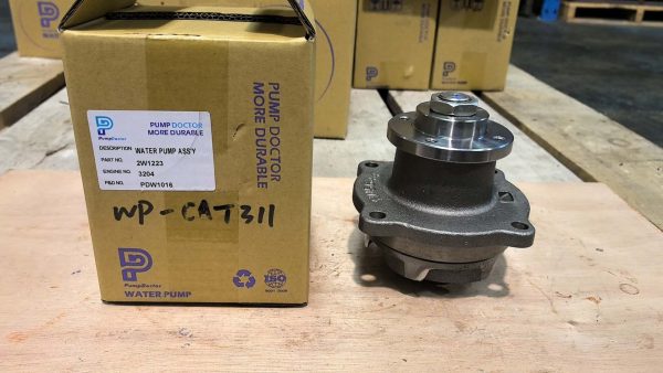 WP-cat311 04