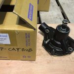 WP-cat312B 03