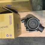 wP-cat325C 02