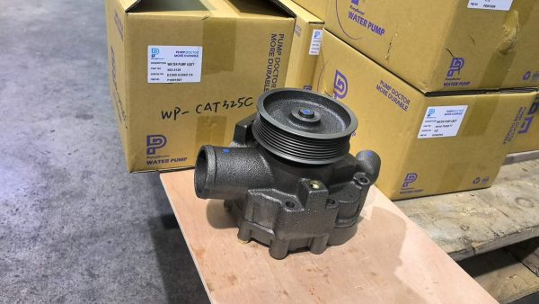 wP-cat325C 04