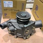 wP-cat330B 01