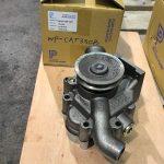 wP-cat330B 02