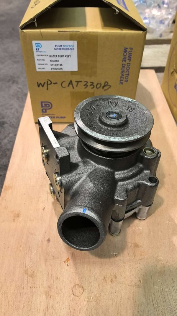 wP-cat336d 06